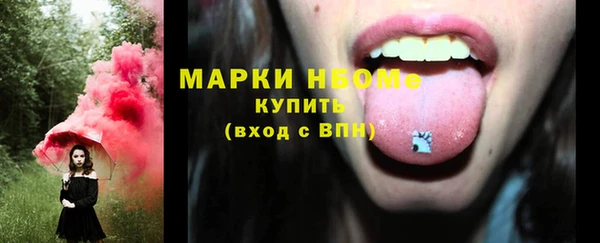 прущие крисы Новозыбков