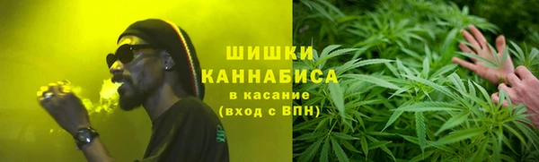 альфа пвп Новодвинск