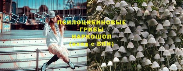 прущие крисы Новозыбков