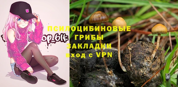 альфа пвп Новодвинск
