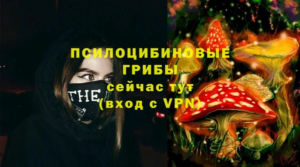 гидропоника Нягань