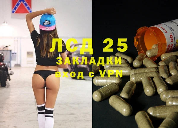 альфа пвп Новодвинск