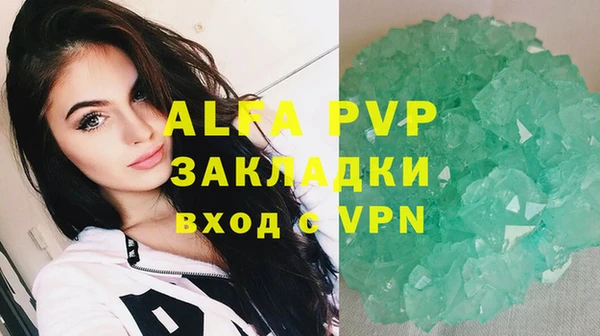 прущие крисы Новозыбков
