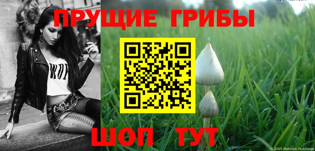Псилоцибиновые грибы ЛСД Тобольск
