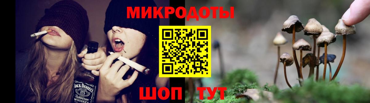 Галлюциногенные грибы Psilocybine cubensis  Вход с VPN  Тобольск 
